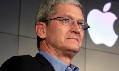 tim cook, apple ceo