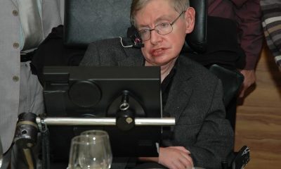 stephen hawking