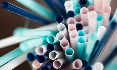 plastic straws