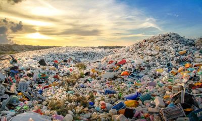 waste plastic bottles and other types of plastic waste at the Thilafushi waste disposal site