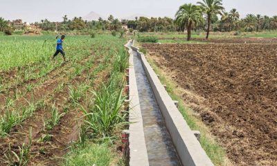 Agricultural Adapation to Climate Change Upper Egypt