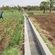 Agricultural Adapation to Climate Change Upper Egypt