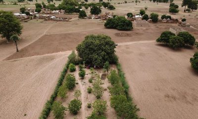 Why Planting a Trillion Trees Should Start With Small Farmers