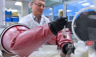 Century-Old Vaccine Investigated as a Weapon Against Coronavirus