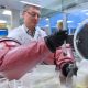 Century-Old Vaccine Investigated as a Weapon Against Coronavirus