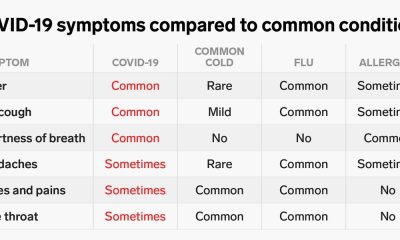 Covid-19 or Flu? How to find out?