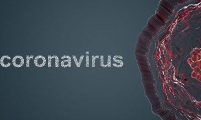 Global coronavirus cases near 7 million