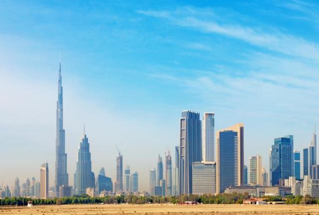 Dubai Economy starts inspection of livestock market ahead of Eid Al Adha