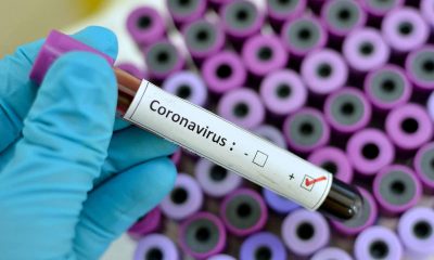 coronavirus, covid-19, serological survey oman