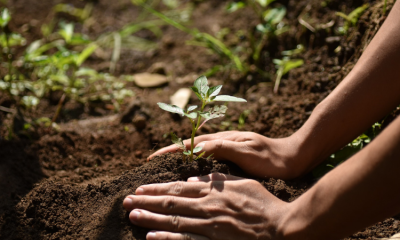 Mastercard Priceless Planet Coalition welcomes Expo 2020 Dubai, Emirates NBD, Network International as Strategic Partners to fight Climate Change