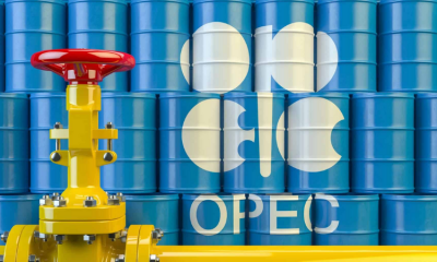 OPEC Fund develops cooperation with Western African countries