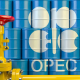 OPEC Fund develops cooperation with Western African countries