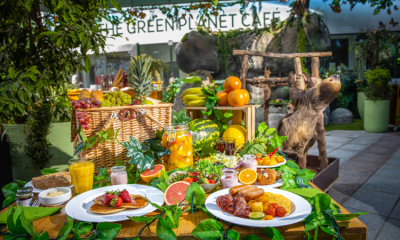 Fancy a Family Picnic Brunch With the Sloths at the Green Planet Dubai?