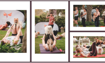 Bounty Beets Hosts Puppy Pilates