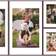 Bounty Beets Hosts Puppy Pilates